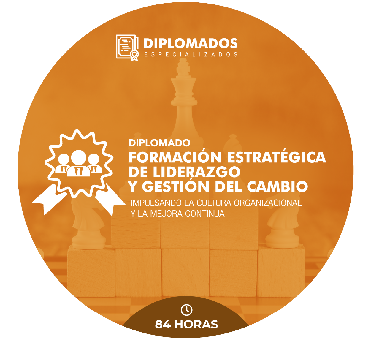 1779832877-Imagenes_Diplomado 01.png